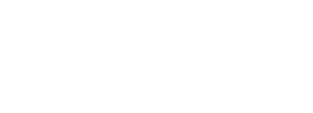 digiswans-logo-png